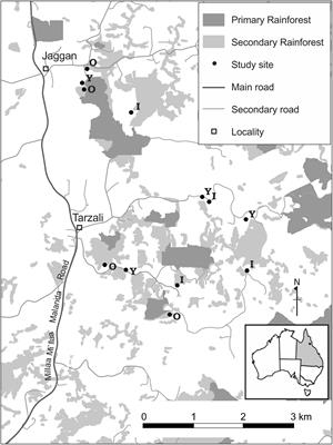 Enhancing Plant Diversity in Secondary Forests